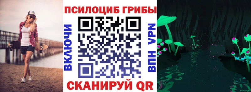 Псилоцибиновые грибы Magic Shrooms  Купить  Сасово 